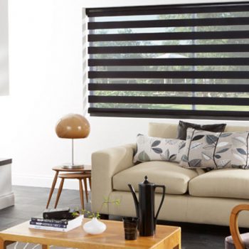 Twist Vision Blinds - Baton Blinds