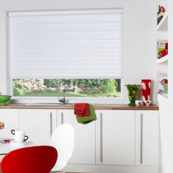 Twist Vision Blinds - Baton Blinds