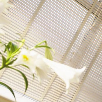 Venetian Blinds - Barton Blinds